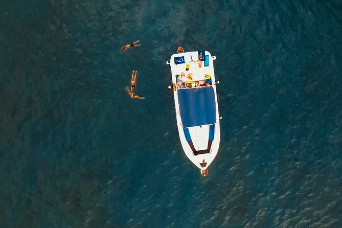3-hour excursion to Puerto Colón Adeje to see whales - The cove stop adds real variety
