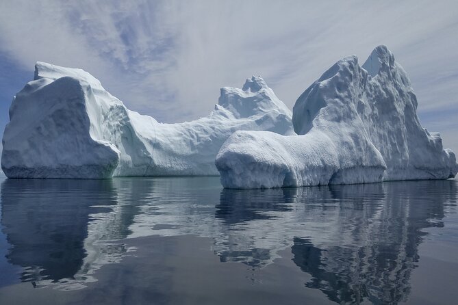 3 Hour Ocean Safari by Zodiac Boat -Whales & Icebergs seasonally - Should you book the 3 Hour Ocean Safari?