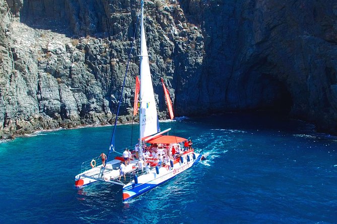 3-hour Whale and Dolphin Watching and Listening Tour - Key points to know before you book