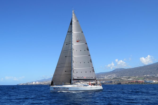3 Hours All Inclusive Whale and Dolphin Whatching Yacht Trip - A three-hour sailing trip from Puerto Colón