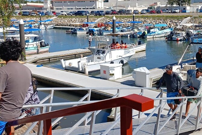 3 Hours of Whale Watching in Puerto Vallarta - What to bring and what to expect onboard