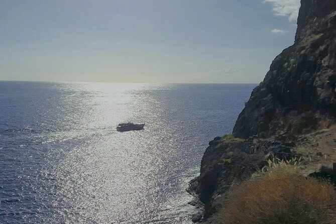 3 hrs Boat Excursion for whale watching from Valle GR (La Gomera) - Is $50.87 good value?