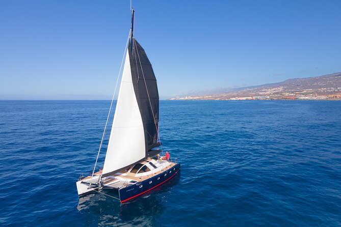 3 hrs. Whale Watching and Relaxing Chill Out Catamaran with glass floor - Key points to know before you sail