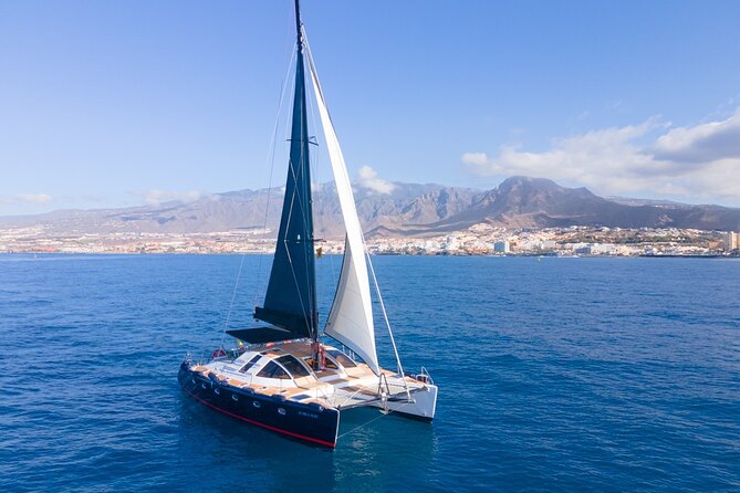 3 hrs. Whale Watching and Relaxing Chill Out Catamaran with glass floor - Drinks, shade, and the pace of the afternoon