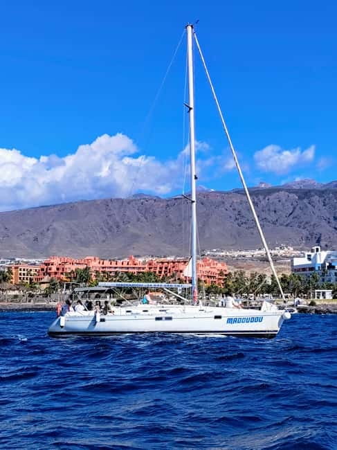 3h Whale Watching Private tour Beneteau Oceanis 440 - Why Pilot Whales Are the Main Attraction