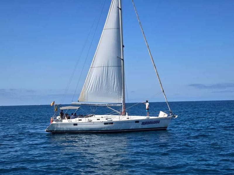 3h Whale Watching Private tour Beneteau Oceanis 440 - Sailing Toward Los Cristianos