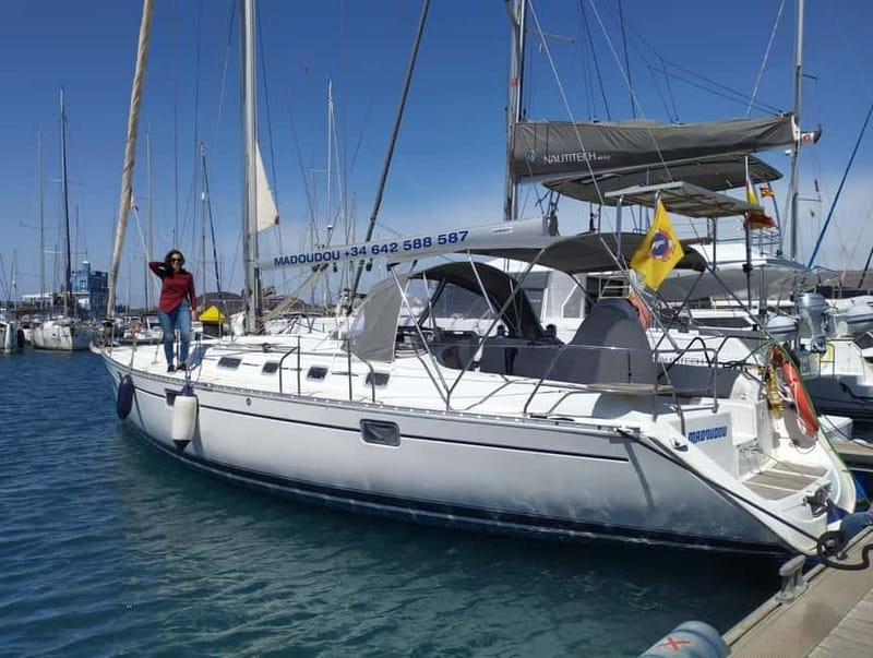 3h Whale Watching Private tour Beneteau Oceanis 440 - The Secret Stop and Wildlife Watch