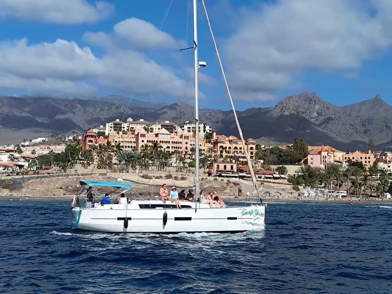 3h Whale Watching Private Tour Costa Adeje Lina7 Mizendoha - Should you book Lina7 or Mizendoha?