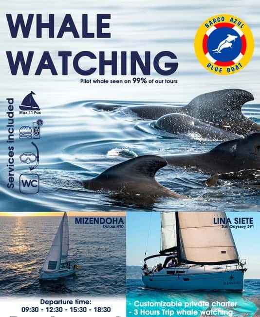 3h Whale Watching Private Tour Costa Adeje Lina7 Mizendoha - Who will enjoy this private sailing trip most