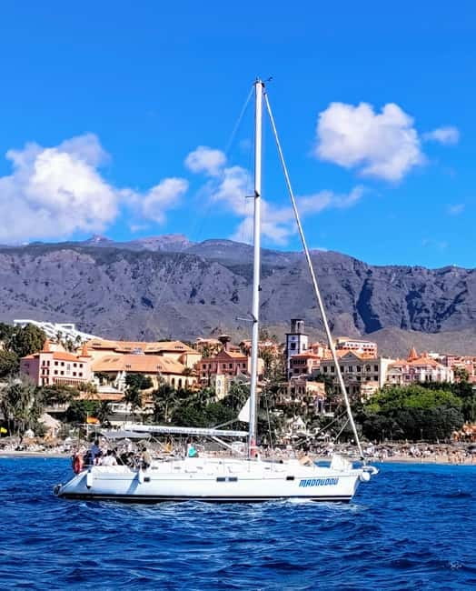 3h Whale Watching Share Tour Beneteau Oceanis 440 - Sailing from Puerto Colón on Madoudou