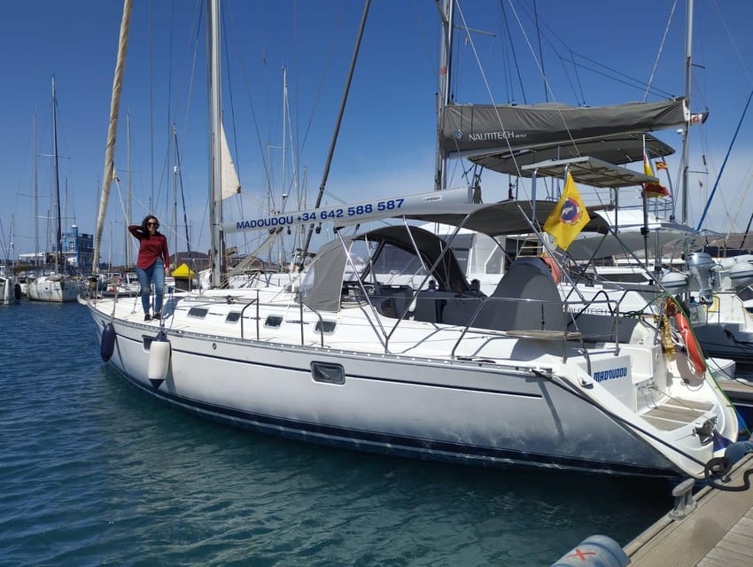 3h Whale Watching Share Tour Beneteau Oceanis 440 - What the $63 price really buys you