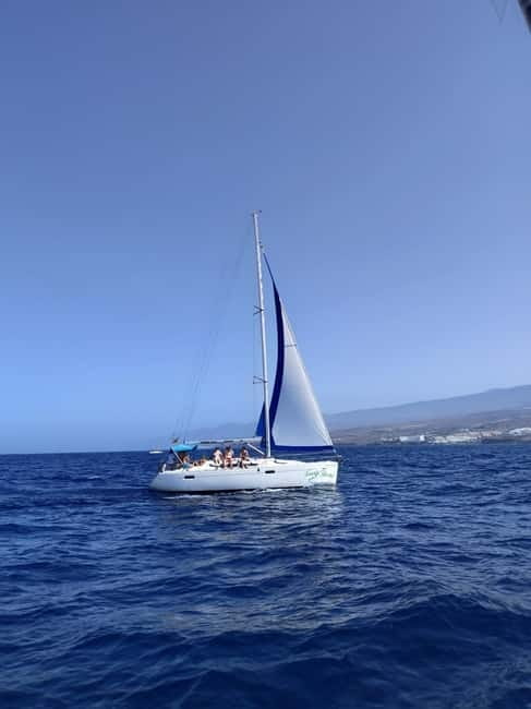 3h Whale watching Share Tour Costa Adeje Lina7 Mizendoha - FAQ