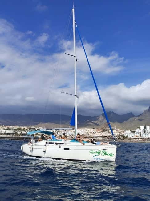 3h Whale watching Share Tour Costa Adeje Lina7 Mizendoha - A half-hour swim stop along the Costa Adeje coast