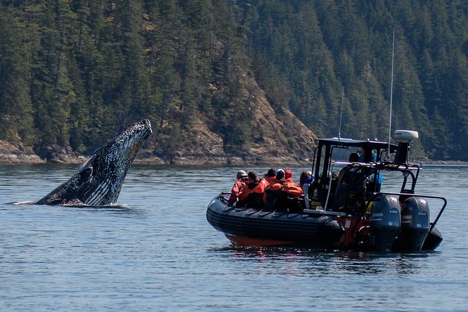 4 Hour Afternoon Whale Watching Tour - What the survival suit and safety gear mean