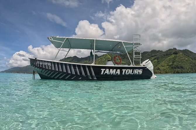 4 Hour Private Humpback Whales Encounter in Moorea - Starting at Coco Beach and getting ready at the dock