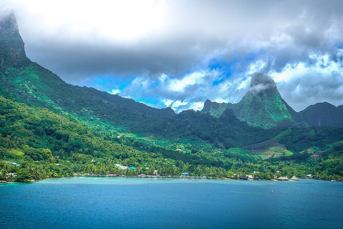 4 Hour Private Humpback Whales Encounter in Moorea - What the crew adds beyond whale watching