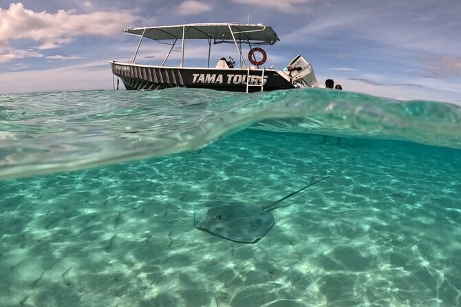 4 Hour Private Humpback Whales Encounter in Moorea - Who will get the most from this outing?