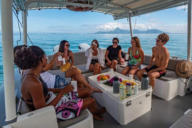 4 Hours of Humpback Whale Watching in Tahiti - When the sea changes the plan