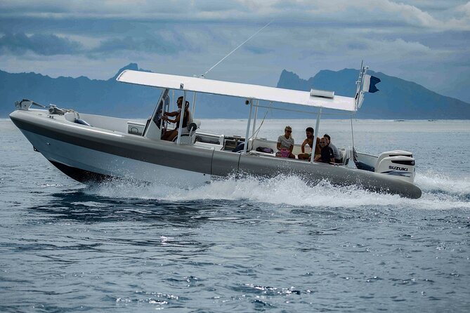 4 Hours of Humpback Whale Watching in Tahiti - What the $127.54 price buys you