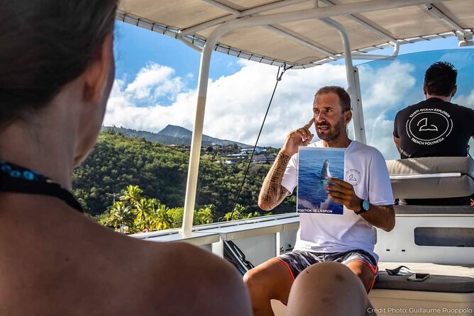 4 Hours of Humpback Whale Watching in Tahiti - Who will enjoy this trip most