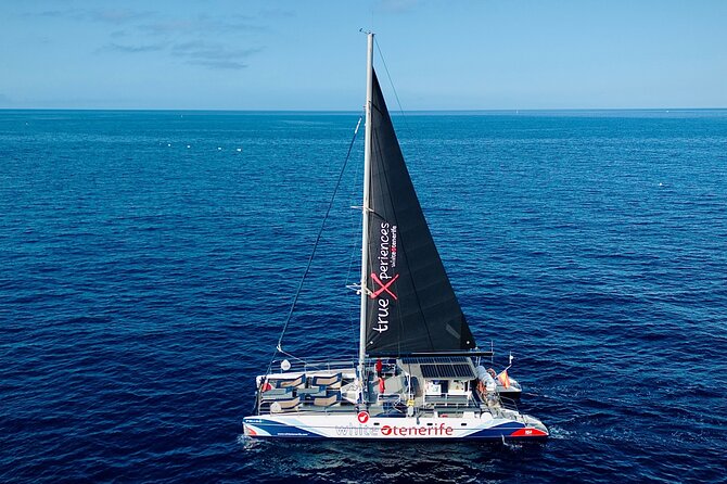 5 hr watching and listening whales and dolps. Visit Los Gigantes - Masca Bay for clear water and a swim