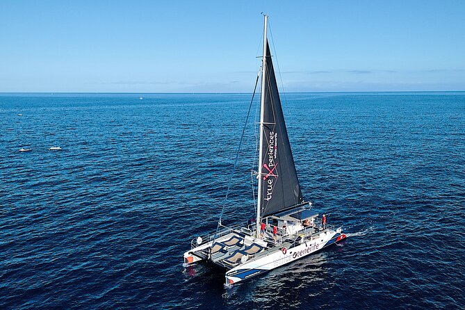 5 hr watching and listening whales and dolps. Visit Los Gigantes - Watching whales and dolphins along Tenerife’s south coast