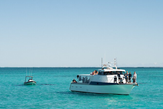7 Hours Off Peak Whale Shark and Ningaloo Reef Tour in Exmouth - A small group and a more supported day
