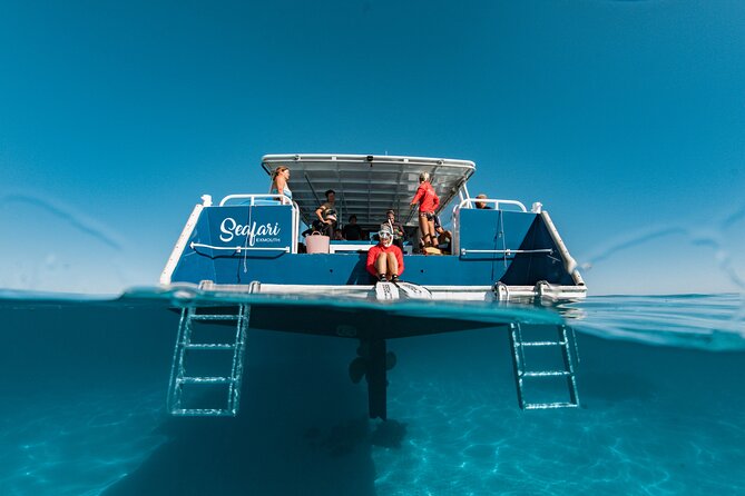 7 Hours Off Peak Whale Shark and Ningaloo Reef Tour in Exmouth - Weather, cancellations, and the wild card of wildlife