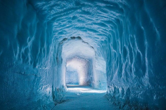 8 Day Magical Iceland with Reykjavik | Blue Lagoon | Lava Tunnel | Whale... - Whale watching from Reykjavik’s Old Harbour