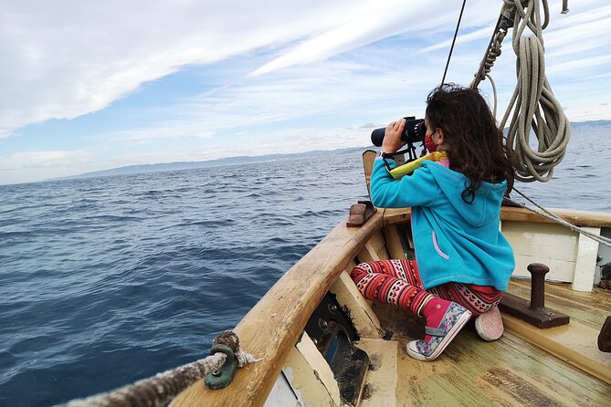 8-Hour Whale Watching in Barcelona - How the Whale Watching Works