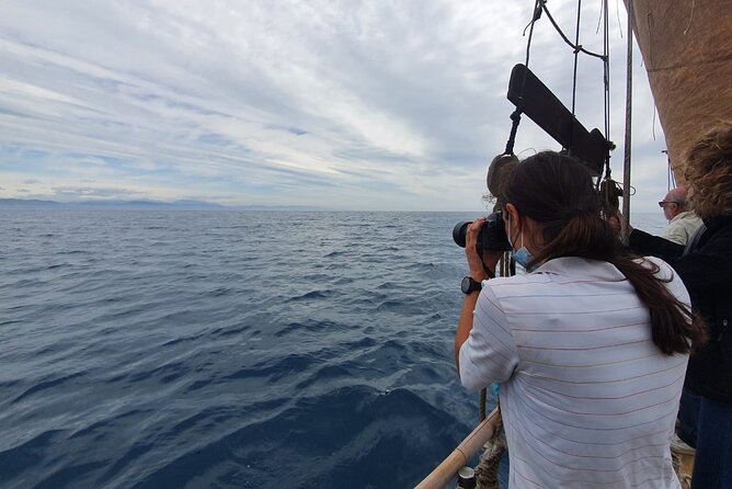 8-Hour Whale Watching in Barcelona - Weather and the Reality of Open Water