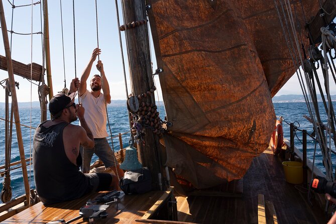 8-Hour Whale Watching in Barcelona - Who Will Get the Most From This Experience