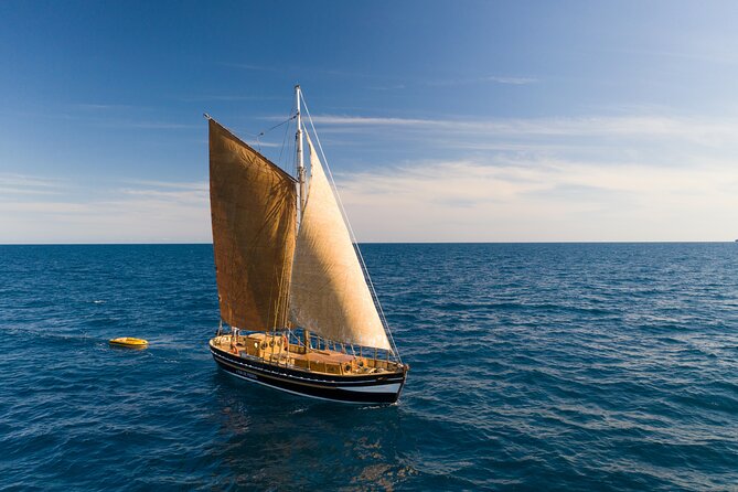 8-Hour Whale Watching in Barcelona - Learning the Mediterranean Beyond the Big Animals