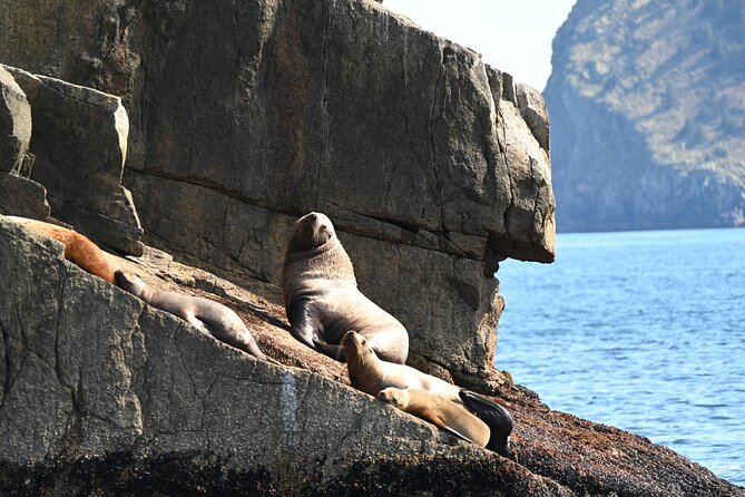 8hr Kenai Fjords Whale Watching Tour w/ 1hr Fishing 16 Passengers - Why the 16-passenger size matters