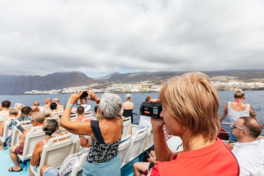 Adeje: Whale and Dolphin Watching Cruise with Lunch and Swim - My call: book it if you want wildlife plus a swim