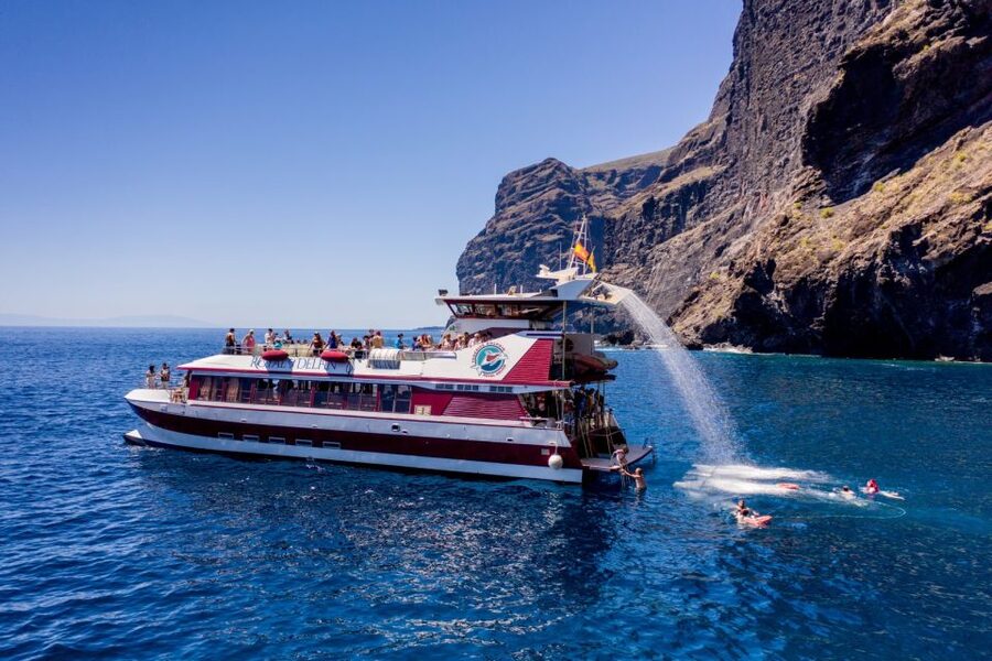 Adeje: Whale and Dolphin Watching Cruise with Lunch and Swim - Choosing Diego Hernandez Bay or Masca and Los Gigantes