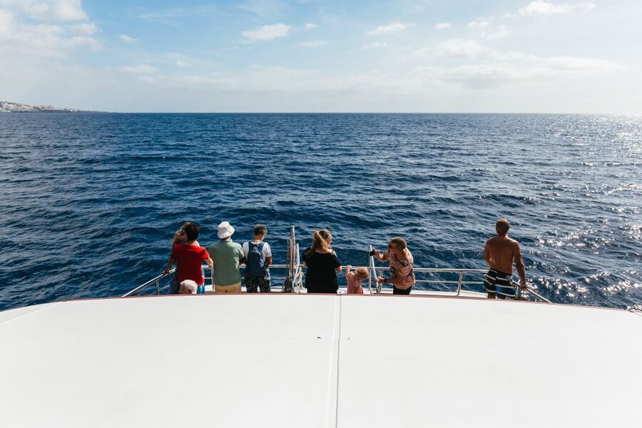 Adeje: Whale and Dolphin Watching Cruise with Lunch and Swim - The swim stop and what lunch is like