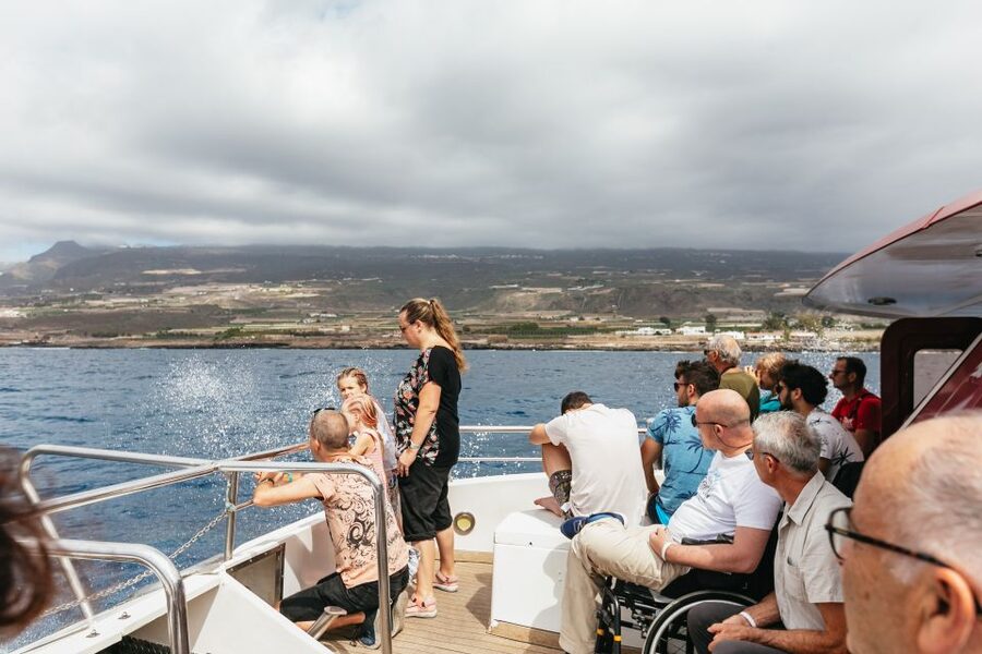 Adeje: Whale and Dolphin Watching Cruise with Lunch and Swim - How comfortable is the catamaran?