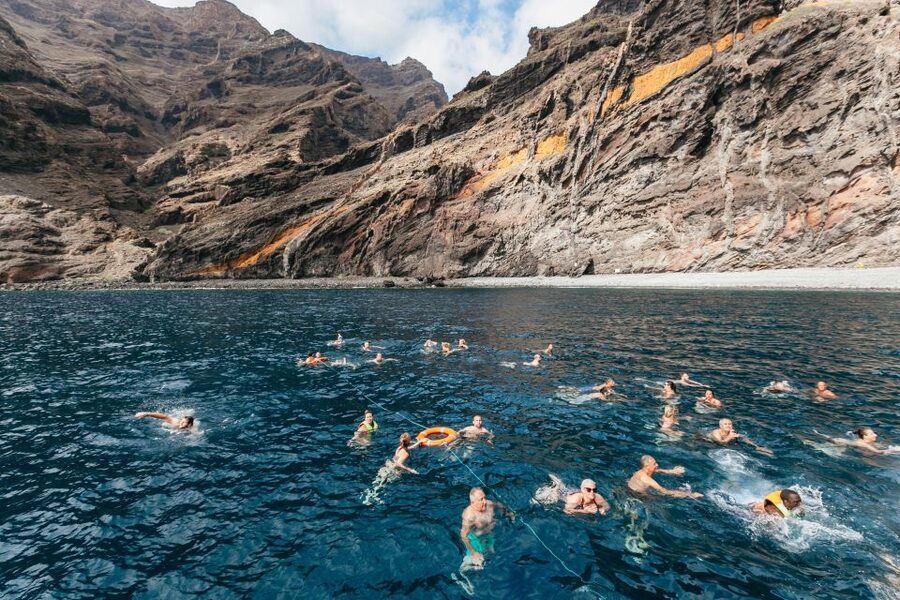 Adeje: Whale and Dolphin Watching Cruise with Lunch and Swim - Who should book this cruise?