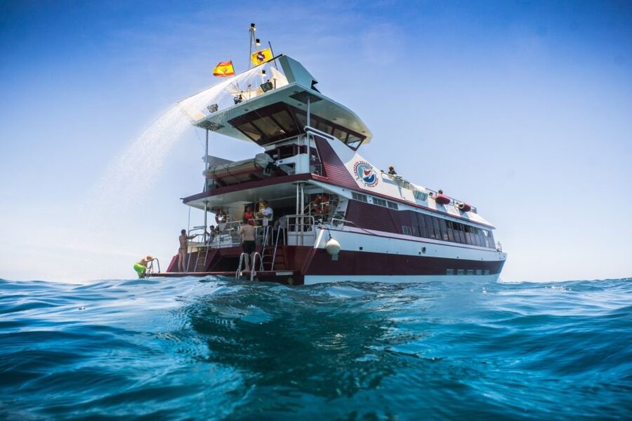 Adeje: Whale and Dolphin Watching Cruise with Lunch and Swim - Leaving Puerto Colón and finding your sea legs