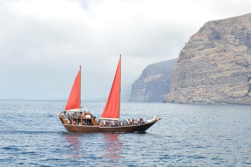 Adeje: Whale Watching, Lunch & Swim Stop at Los Gigantes - Is $64 good value?