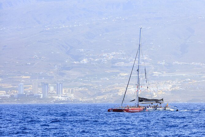 Adults Only Tenerife Freebird Whale Dolphin Catamaran with Lunch - Who will enjoy this cruise most
