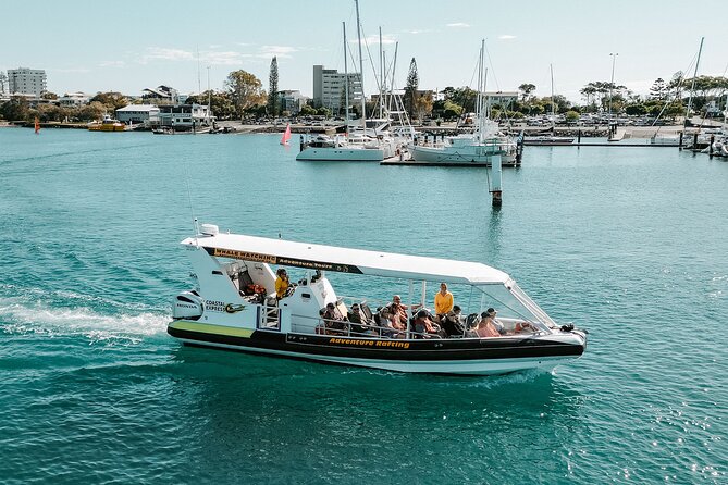 Adventure Whale Watching Tour Mooloolaba - Old Woman Island and Aboriginal stories