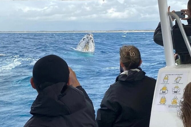 Adventure Whale Watching Tour Mooloolaba - Guides, boat size, and comfort