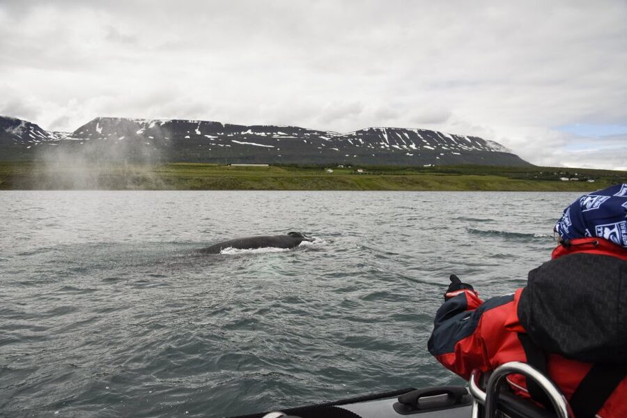 Akureyri: 2-Hour Whale Watching Express by RIB Speedboat - Warm clothing helps, but you can still get wet