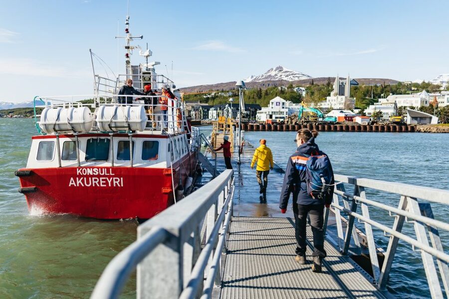 Akureyri: 3-Hour Classic Whale Watching Tour by Ship - Who should book this cruise?