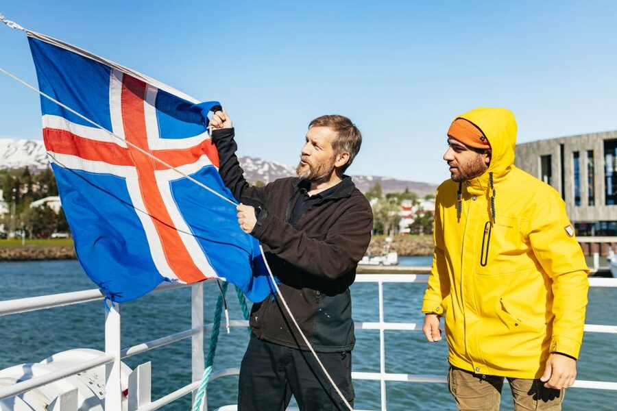 Akureyri: 3-Hour Classic Whale Watching Tour by Ship - What you might see besides humpbacks