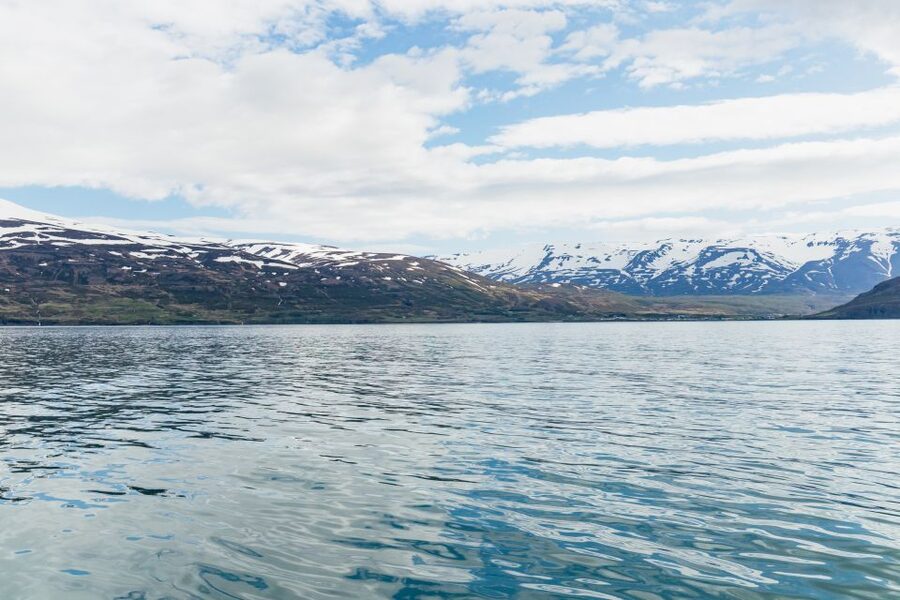 Akureyri: 3-Hour Classic Whale Watching Tour by Ship - A boat made for comfort, not just speed