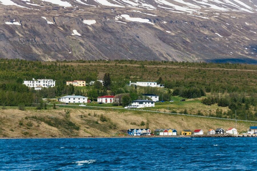 Akureyri: 3-Hour Classic Whale Watching Tour by Ship - The guides make the difference