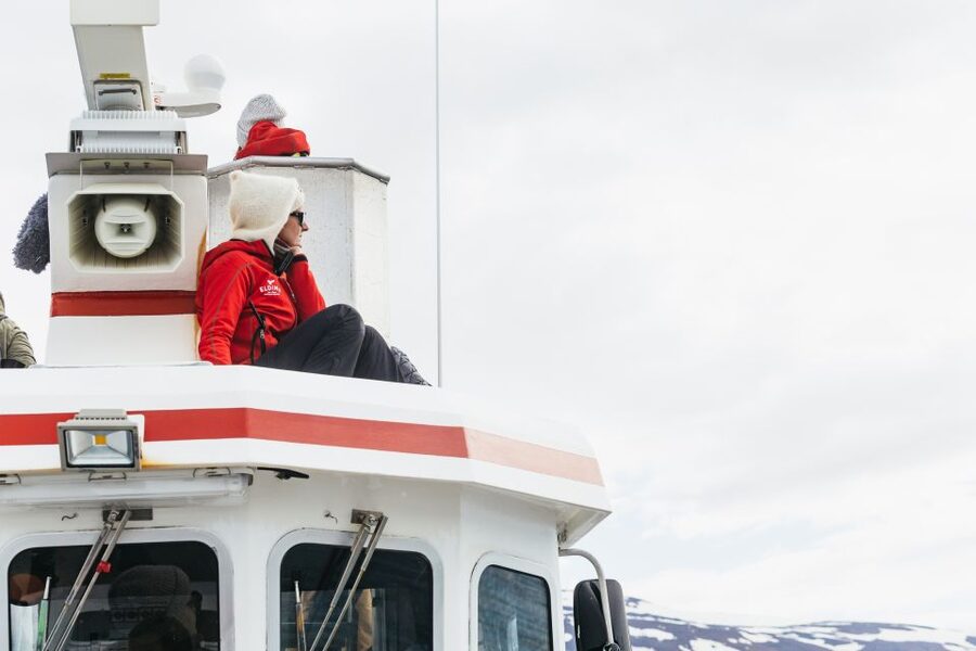 Akureyri: 3-Hour Classic Whale Watching Tour by Ship - Winter, summer, and the question of timing